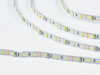 фото Светодиодная лента 5630, 60 LED/м, 12 Вт/м, 12В, IP20, Цвет: Холодный белый, SWG660-12-12-W-M, катушка 5 м