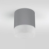 фото Уличный потолочный светильник Light LED 2107 IP54 35140/H серый