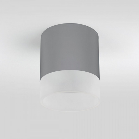 фото Уличный потолочный светильник Light LED 2107 IP54 35140/H серый