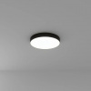 фото Потолочный светильник Arte Lamp FADO A6650PL-1BK