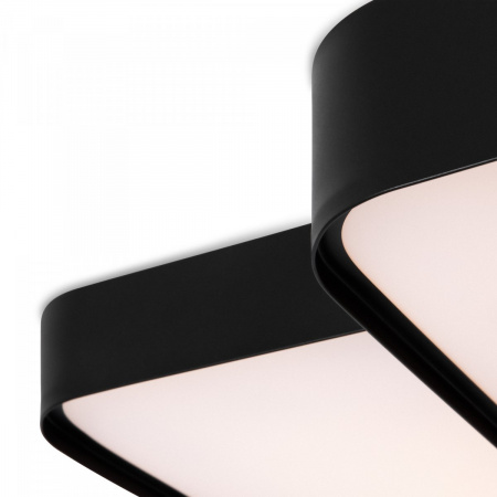 фото Потолочный светильник Freya FR6095CL-L84B, черный