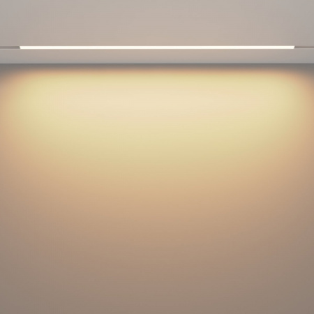 фото Трековый светильник Maytoni Technical Basis TR030-2-30W3K-W, белый