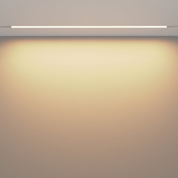 фото Трековый светильник Maytoni Technical Basis TR030-2-30W3K-W, белый