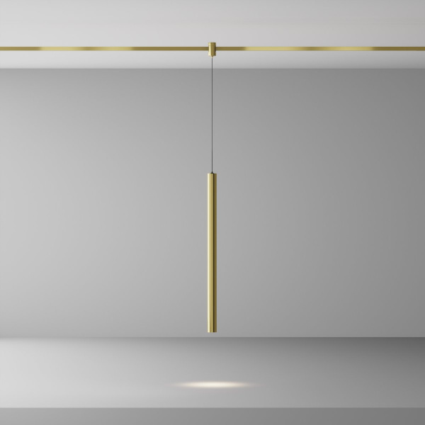фото Трековый светильник Maytoni Technical Focus Led TR156-1-5W4K-BS, латунь