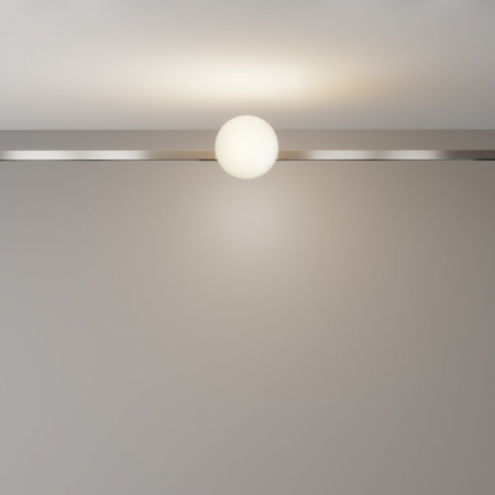 фото Трековый светильник Maytoni Technical Luna TR229-1-5W3K-PT, платина