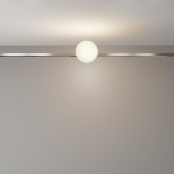 фото Трековый светильник Maytoni Technical Luna TR229-1-5W3K-PT, платина