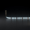 фото Светодиодная лента 24 В 8 Вт/м 120Led/м 2116 IP20, холодный белый 6500K, 5 м
