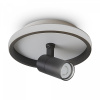 фото Потолочный светильник Freya FR6040CL-L14B, черный