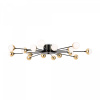 Потолочный светильник Freya Celebrity FR5242CL-16B, черный