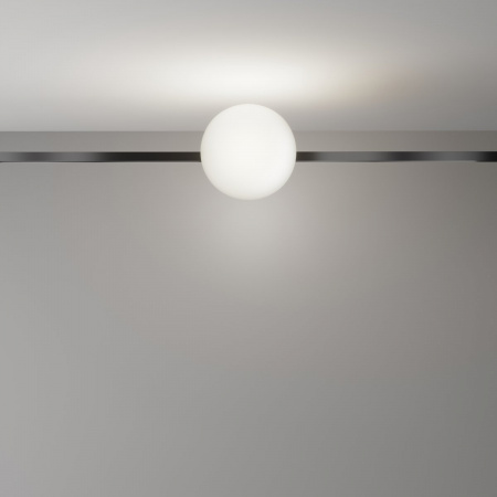 фото Трековый светильник Maytoni Technical Luna TR229-1-8W4K-B, черный
