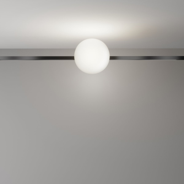фото Трековый светильник Maytoni Technical Luna TR229-1-8W4K-B, черный