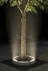 фото Прожектор LED 3000K G5712 12W 15° IP65