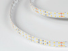 фото Лента светодиодная SWG 2x DSG 2835 WW 196L-V24-IP33, 3000 K, 980 LED, 18W/m, 5000*15*2 mm, LUX, катушка 5 м