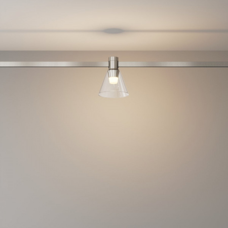 фото Трековый светильник Maytoni Technical Bianca TR147-1-3W3K-PT, платина