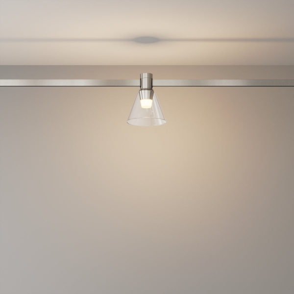 фото Трековый светильник Maytoni Technical Bianca TR147-1-3W3K-PT, платина
