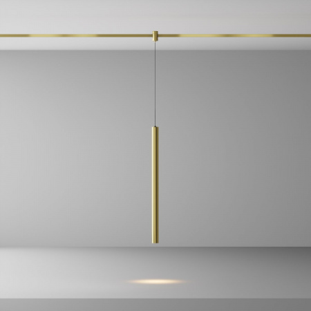 фото Трековый светильник Maytoni Technical Focus Led TR156-1-5W3K-BS, латунь