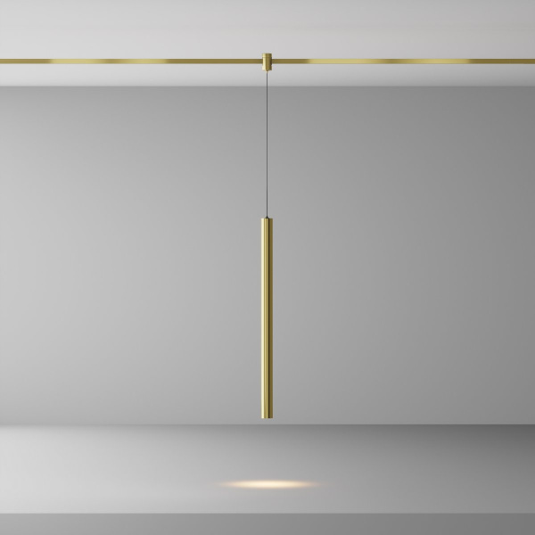 фото Трековый светильник Maytoni Technical Focus Led TR156-1-5W3K-BS, латунь