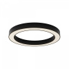 Потолочный светильник Maytoni Technical Lua C093CL-45W3K-B, черный