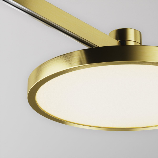 фото Трековый светильник Maytoni Technical Plato TR153-1-10W3K-BS, латунь