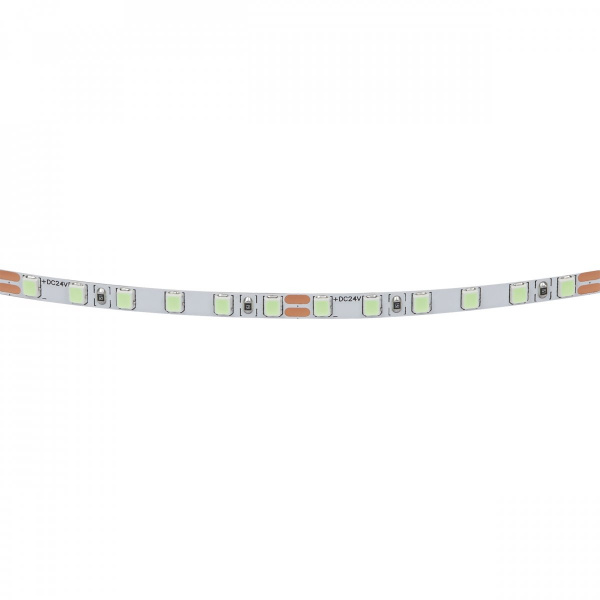 фото Лента цветного свечения 24V, голубой Lightstar 420516