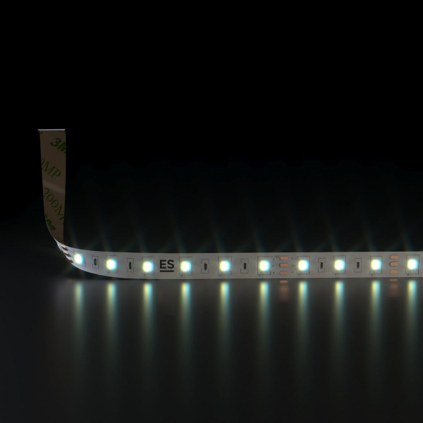 Светодиодная лента 24 В 10 Вт/м 60 LED/м 5050 IP20, MIX теплый белый 3300K/холодный белый 6500K, 5 м